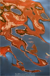 Prints - Seascapes & Coastal