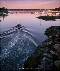 Prints - Seascapes & Coastal