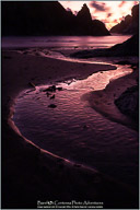 Along the Oregon Coast