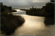 Autumn on the Outer Banks