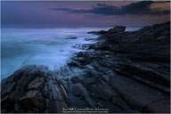 Welcome Gallery